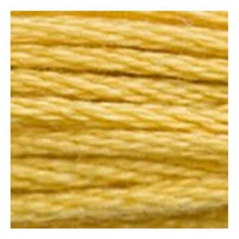 DMC Yellow Mouline Special 25 Cotton Thread 8m (3821) image number 2