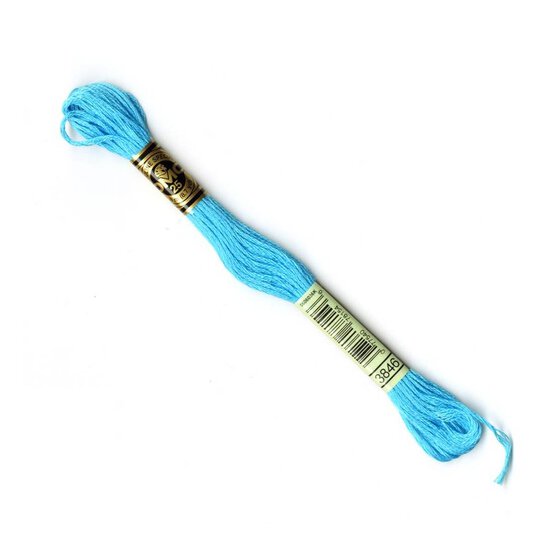 DMC Blue Mouline Special 25 Cotton Thread 8m (3846) image number 1