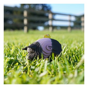 Eugy 3D Pig Model