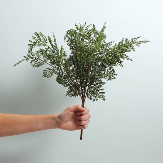 Parsley Fern 48cm image number 2