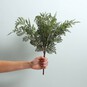 Parsley Fern 48cm image number 2