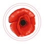Poppy Transparent Embroidery Kit  image number 4