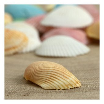 Mixed Bag of Pastel Shells 250g image number 2