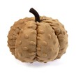 Orange Plush Bubble Pumpkin 17cm