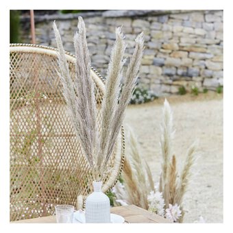 Ginger Ray Natural Pampas Grass Stems 5 Pack