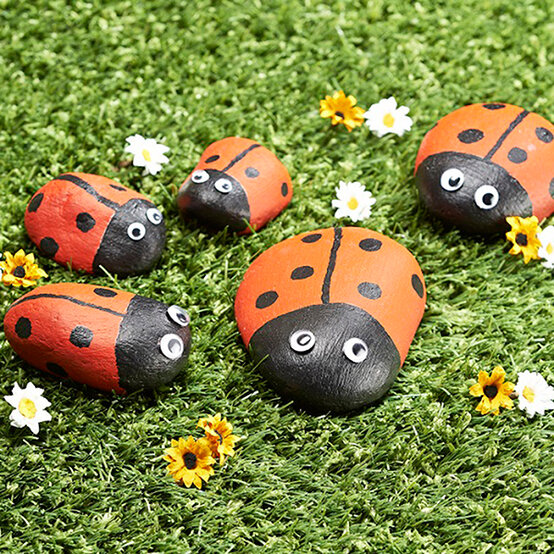 How to Make Ladybird Pet Rocks image number 1