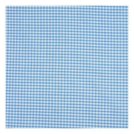Sky 1/8 Gingham Fabric by the Metre image number 2