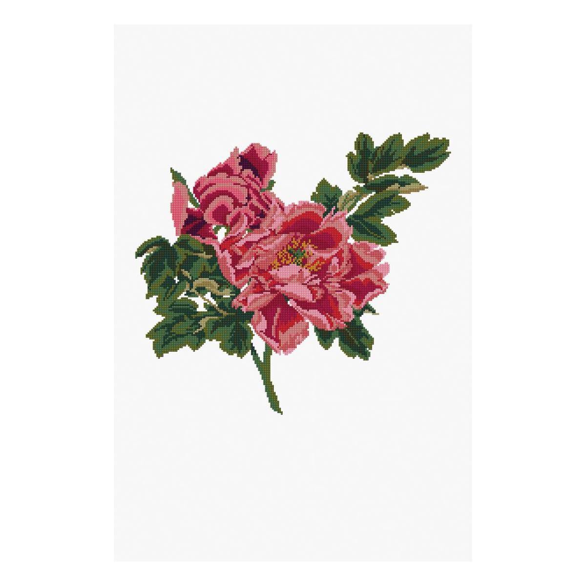 FREE PATTERN DMC Ornamental Rose Cross Stitch Hobbycraft