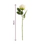 Pink and White Rose Stem 45cm image number 5