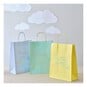 Pastel Ready to Decorate Gift Bags 5 Pack image number 2