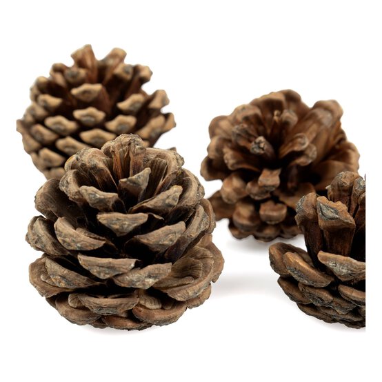Pinecones 200g image number 4