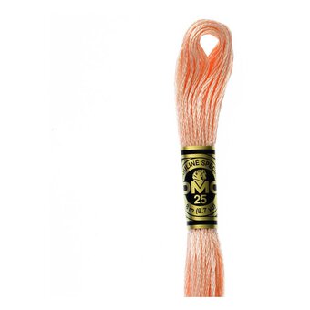 DMC Pink Mouline Special 25 Cotton Thread 8m (353)