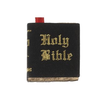 Doll&rsquo;s House Bible