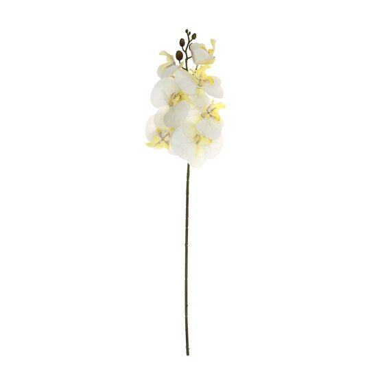 White Orchid Spray 56cm image number 1