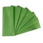 Apple Green Tissue Paper 50cm x 75cm 6 Pack image number 1
