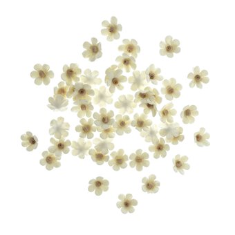 Ivory Pearl Paper Flower Embellishments 60 Pieces