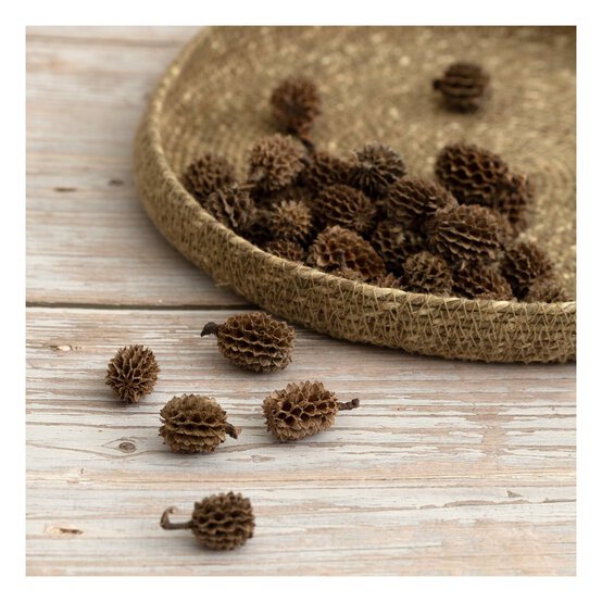 Natural Casuarina 50g image number 2