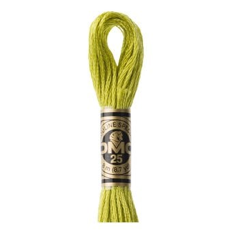 DMC Green Mouline Special 25 Cotton Thread 8m (166)