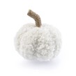 White Borg Pumpkin 6.5cm