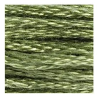 DMC Green Mouline Special 25 Cotton Thread 8m (3364) image number 2