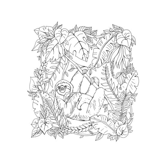 Tropical Wonderland Colouring Book image number 4