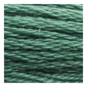 DMC Green Mouline Special 25 Cotton Thread 8m (3815) image number 2
