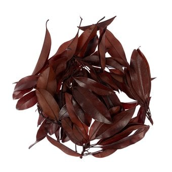 Red Sappotta Leaves 34g
