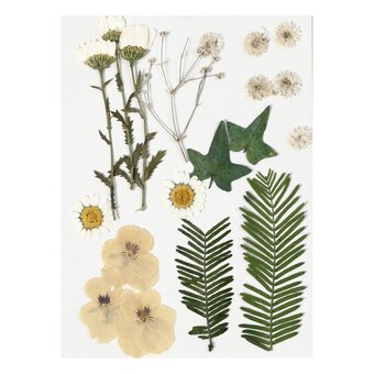 Off White Pressed Flowers with Leaves 19 Pieces image number 2