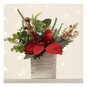 Red Poinsettia Flowerpot 20cm  image number 1