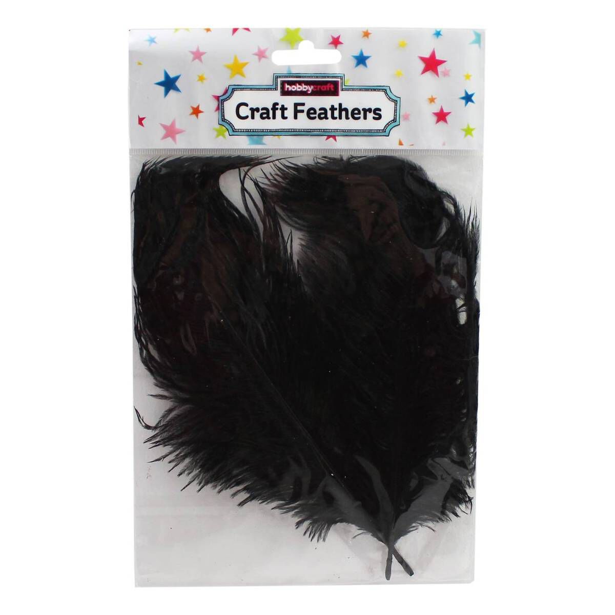 Black Ostrich Feathers 2 Pack | Hobbycraft