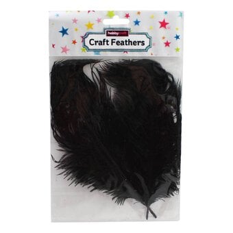 Black Ostrich Feathers 2 Pack