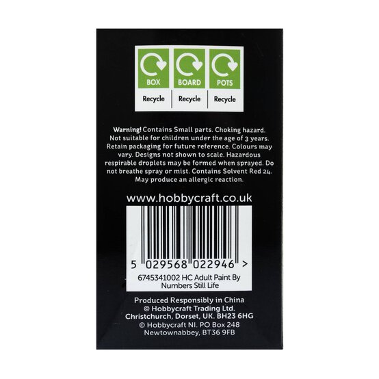 Still Life Paint by Numbers Canvas Roll image number 7