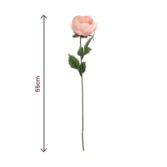 Pale Pink Peony Stem 55cm image number 3