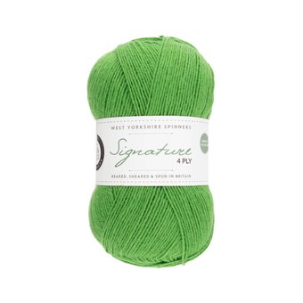 West Yorkshire Spinners Chocolate Lime Signature 4 Ply 100g