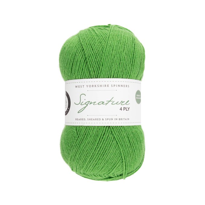 West Yorkshire Spinners Chocolate Lime Signature 4 Ply 100g image number 1