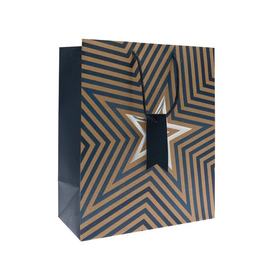 Kraft Star Blue Gift Bag 21.5cm x 25cm image number 1