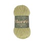 West Yorkshire Spinners Orchard Morris DK 50g image number 1
