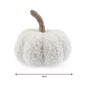 White Borg Pumpkin 9cm image number 5