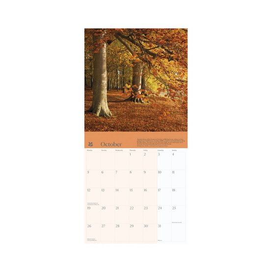 National Trust Seasons Wall Calendar 2026 image number 5