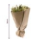 Sage Green Natural Dried Sheaf 30cm image number 5