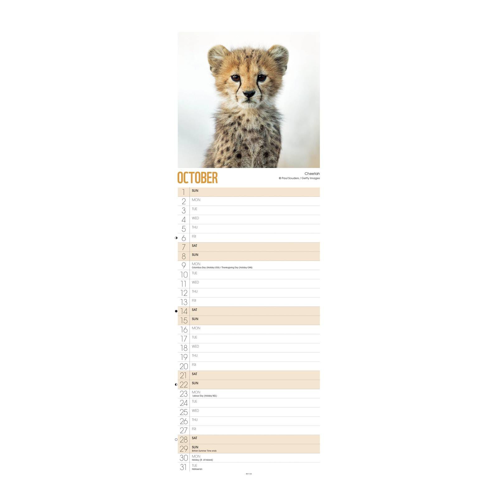 wwf-baby-animals-slim-calendar-2023-hobbycraft