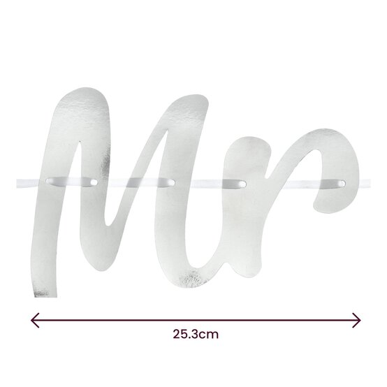 Silver Mr Bunting image number 4