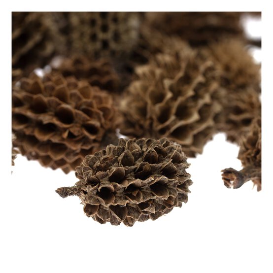 Natural Casuarina 50g image number 3