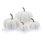 White Borg Pumpkin 4 Pack Bundle image number 1