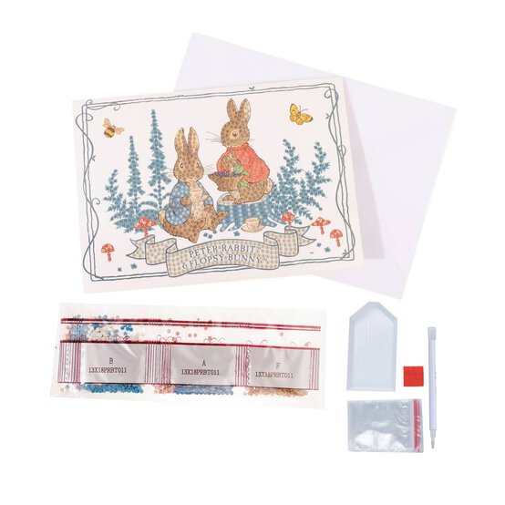 Crystal Art Peter and Flopsy Card Kit image number 3
