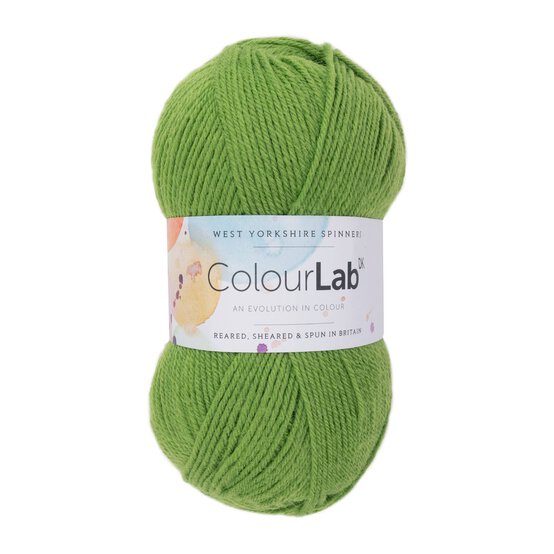 West Yorkshire Spinners Shamrock Green ColourLab DK Yarn 100g image number 1