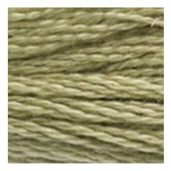 DMC Green Mouline Special 25 Cotton Thread 8m (3013)