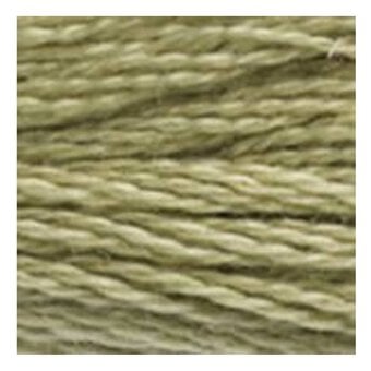 DMC Green Mouline Special 25 Cotton Thread 8m (3013) image number 2