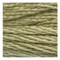 DMC Green Mouline Special 25 Cotton Thread 8m (3013) image number 2