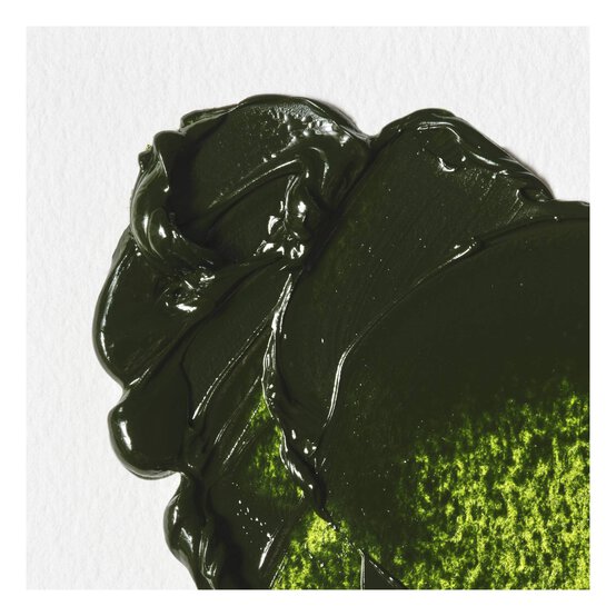 Winsor And Newton Winton Oil Colour 37ml Sap Green image number 2